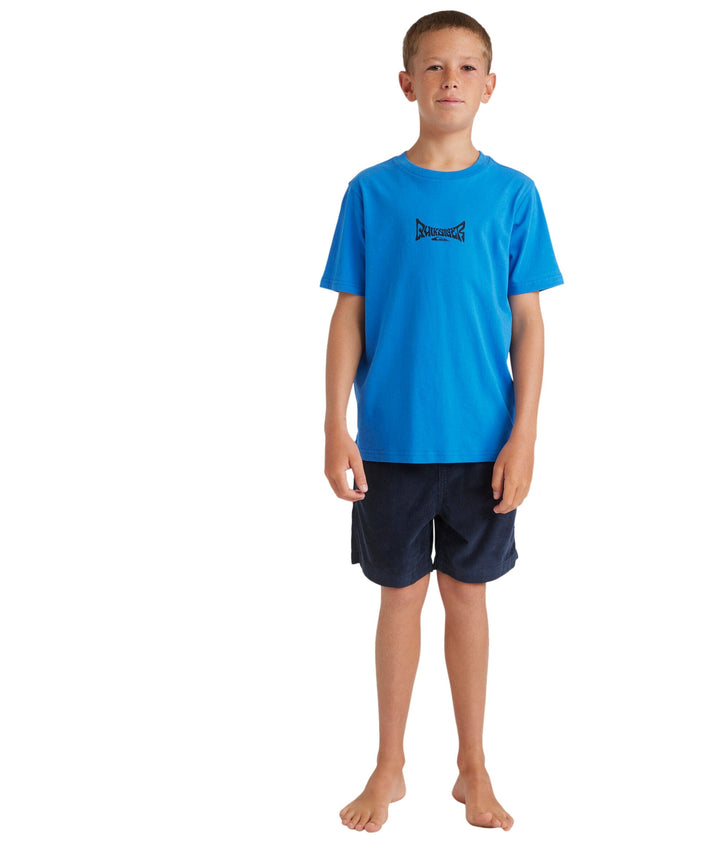 Quiksilver Youth Foam Ball T-Shirt 
