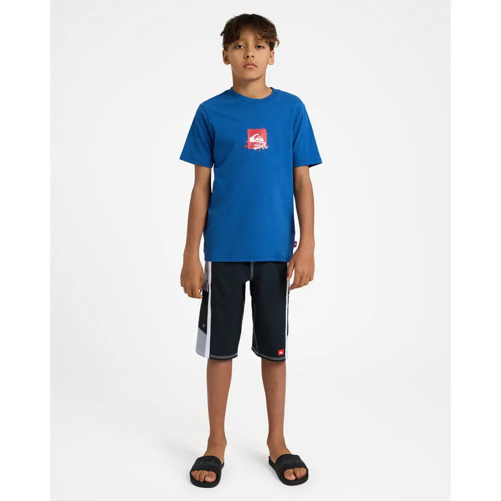 Quiksilver Youth Impaired Box T-Shirt
