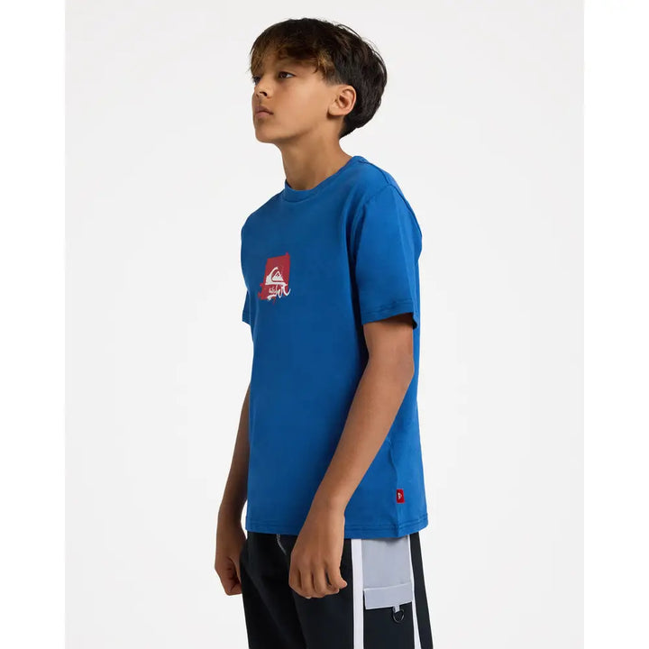 Quiksilver Youth Impaired Box T-Shirt