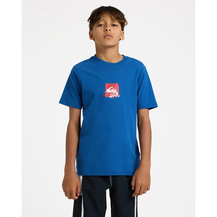 Quiksilver Youth Impaired Box T-Shirt
