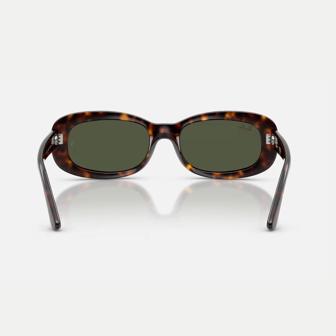 Ray-Ban 0RB2221 Sunglasses 