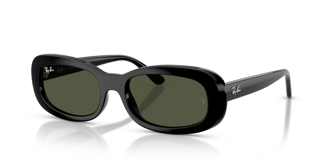 Ray-Ban 0RB2221 Sunglasses 