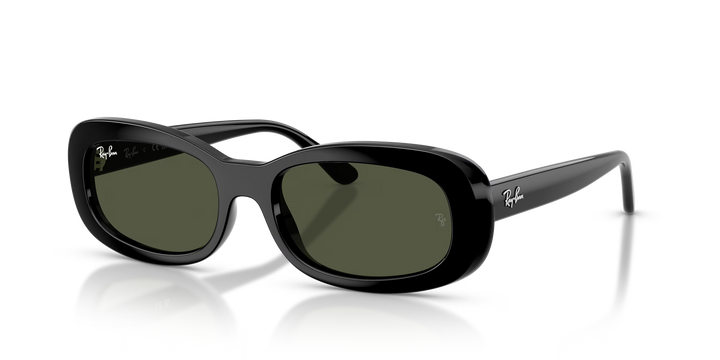 Ray-Ban 0RB2221 Sunglasses 