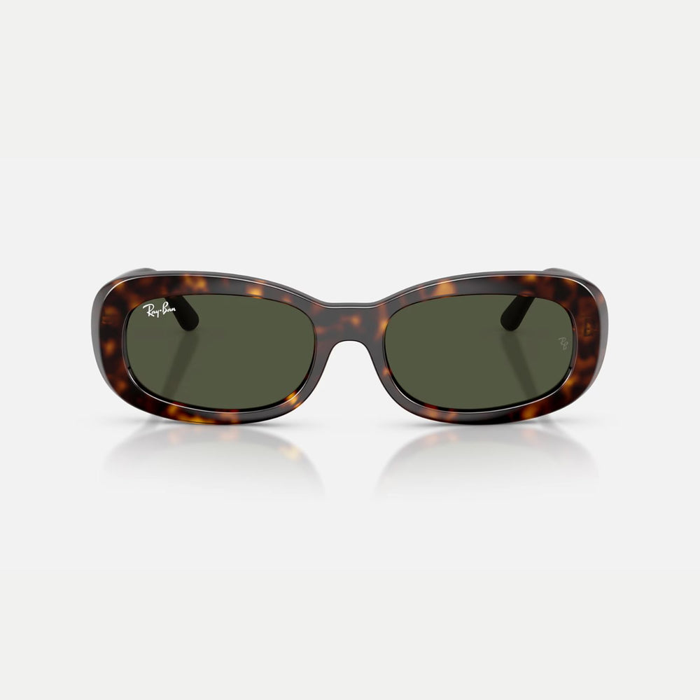 Ray-Ban 0RB2221 Sunglasses 