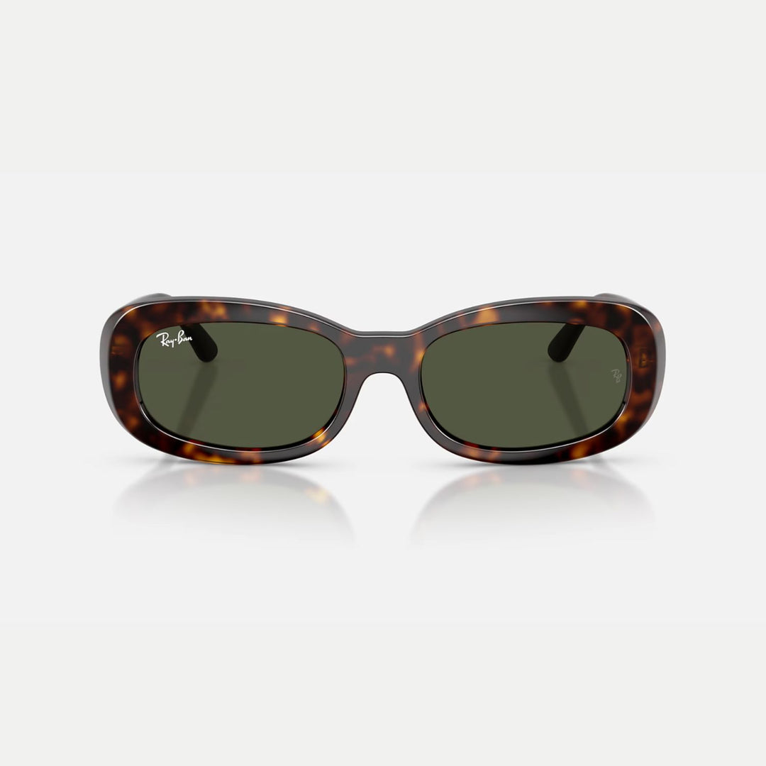 Ray-Ban 0RB2221 Sunglasses 