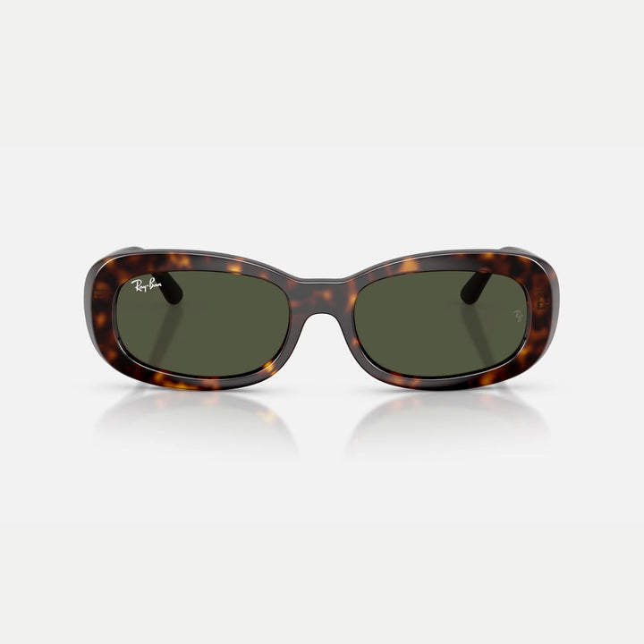 Ray-Ban 0RB2221 Sunglasses 