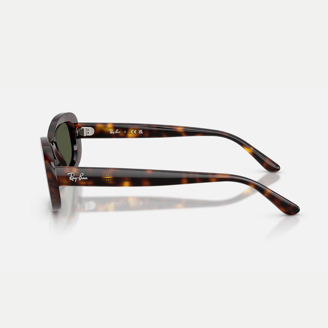 Ray-Ban 0RB2221 Sunglasses 