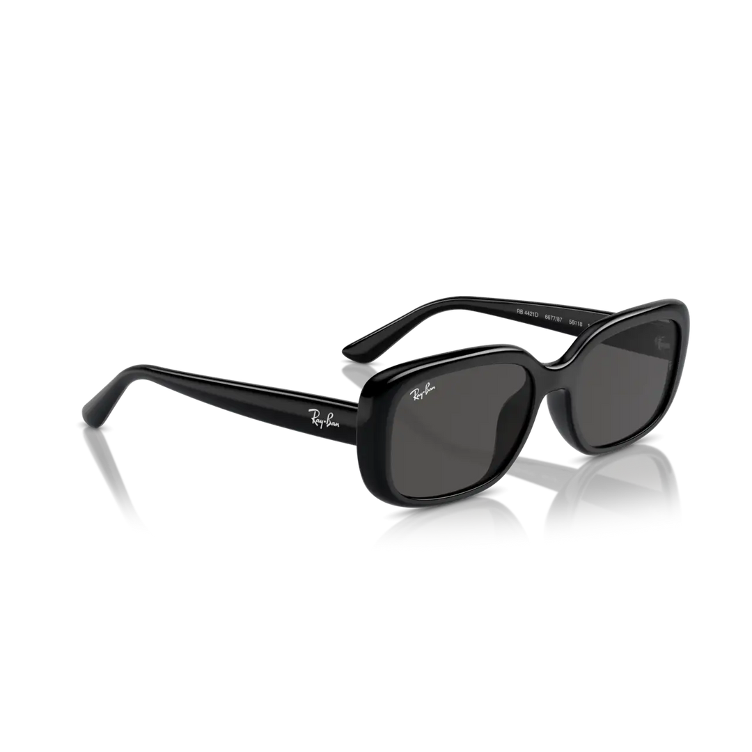 Ray-Ban 0RB4421D Sunglasses - Black / Dark Grey