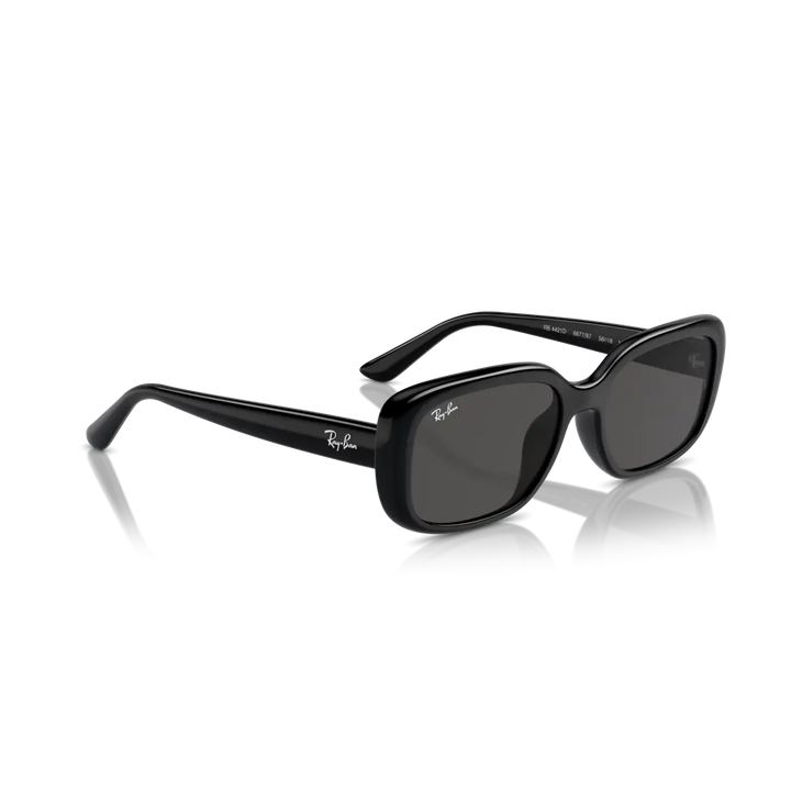 Ray-Ban 0RB4421D Sunglasses - Black / Dark Grey