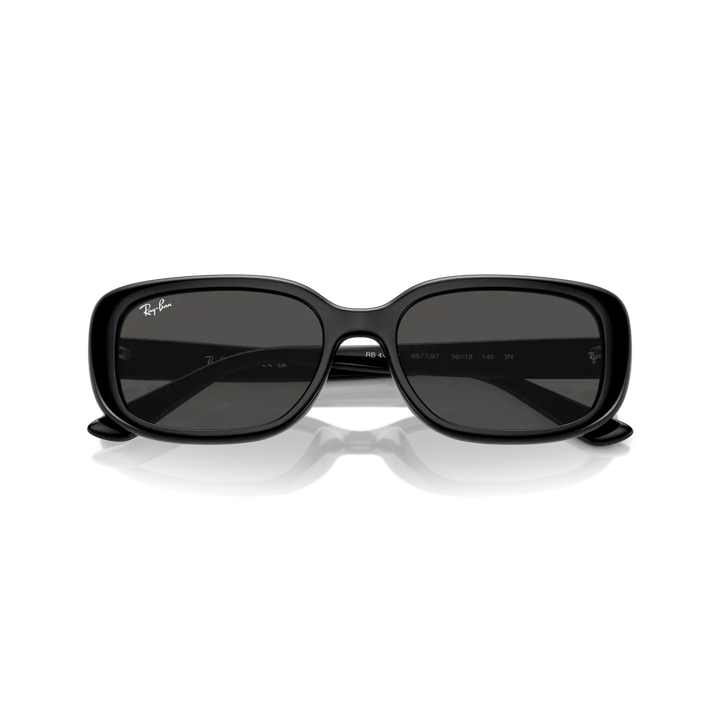 Ray-Ban 0RB4421D Sunglasses - Black / Dark Grey
