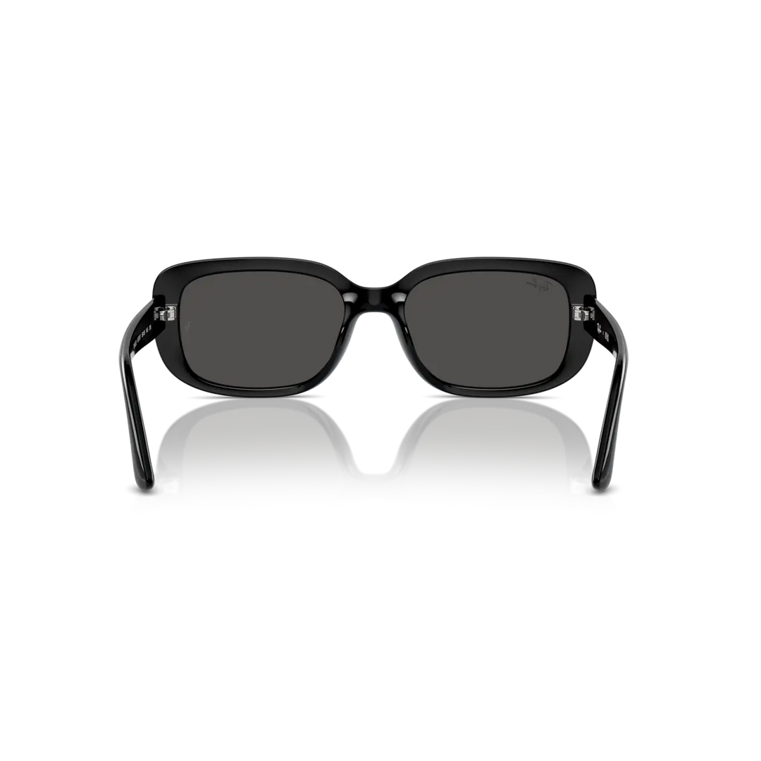 Ray-Ban 0RB4421D Sunglasses - Black / Dark Grey