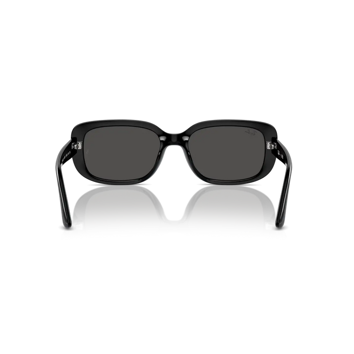 Ray-Ban 0RB4421D Sunglasses - Black / Dark Grey