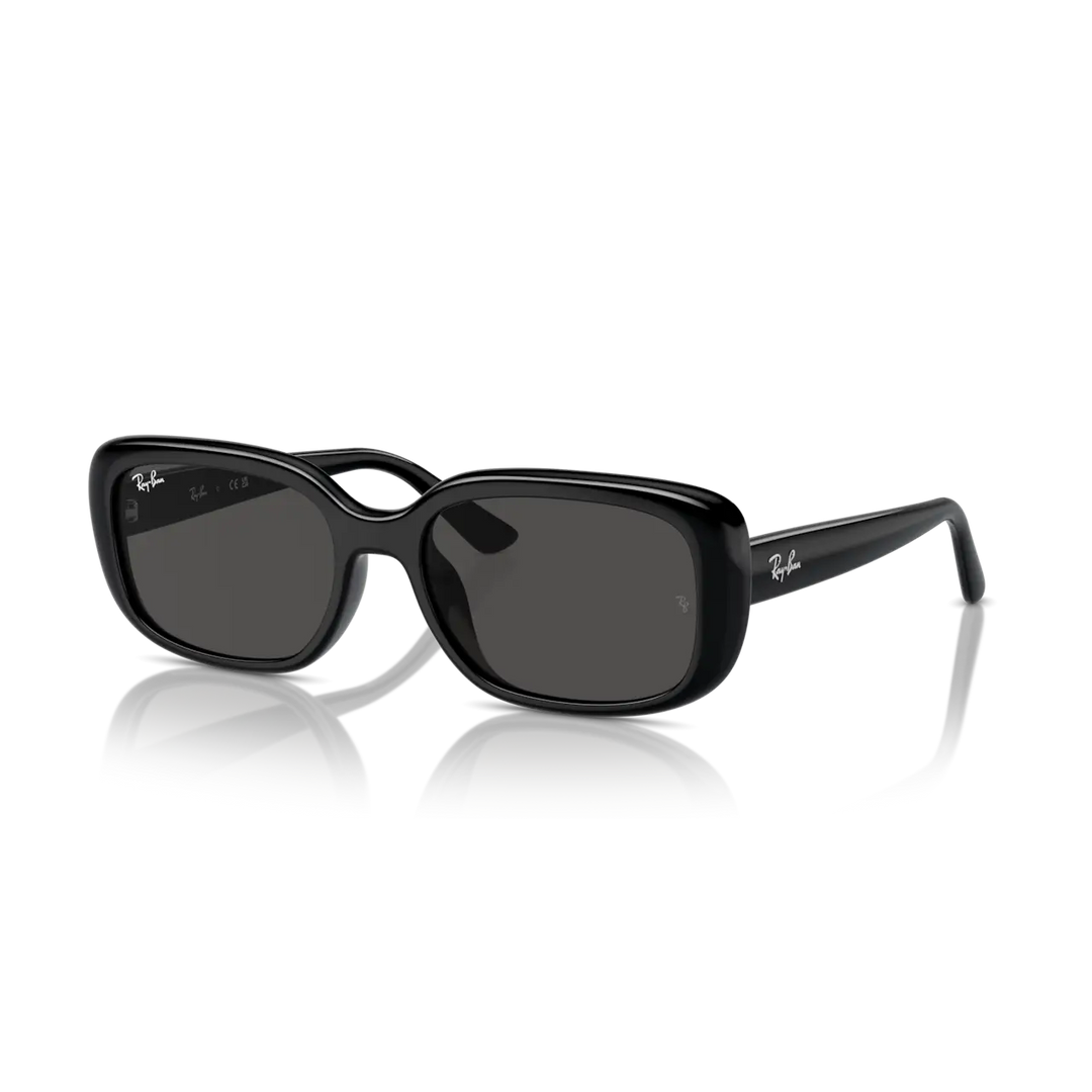 Ray-Ban 0RB4421D Sunglasses - Black / Dark Grey