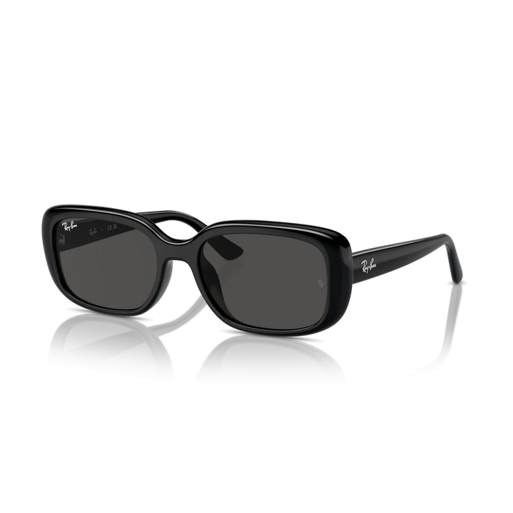Ray-Ban 0RB4421D Sunglasses - Black / Dark Grey