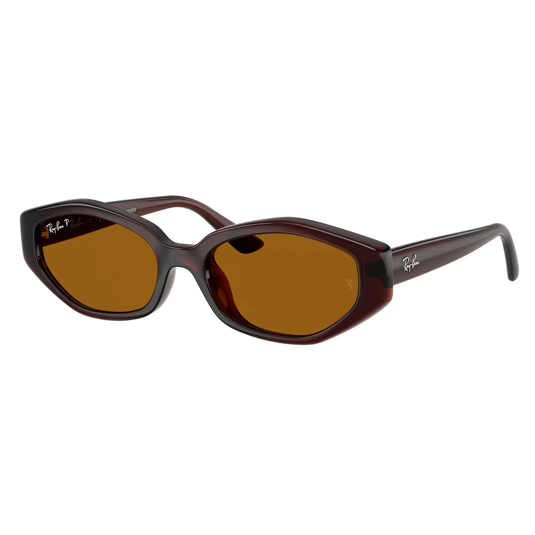 Ray-Ban 0RB4473D Polarised Sunglasses - Dark Brown / Dark Brown Polar
