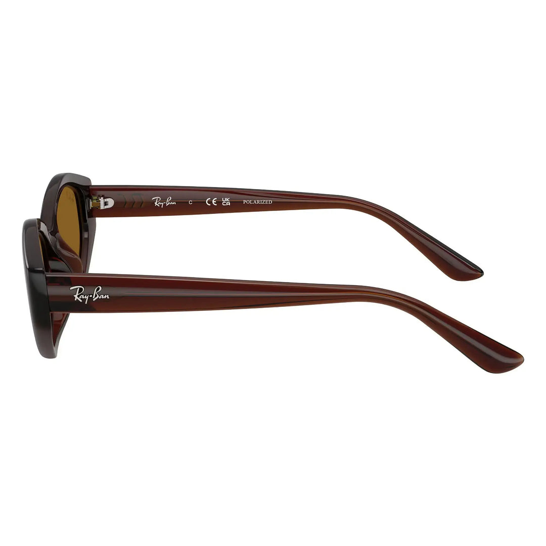 Ray-Ban 0RB4473D Polarised Sunglasses - Dark Brown / Dark Brown Polar