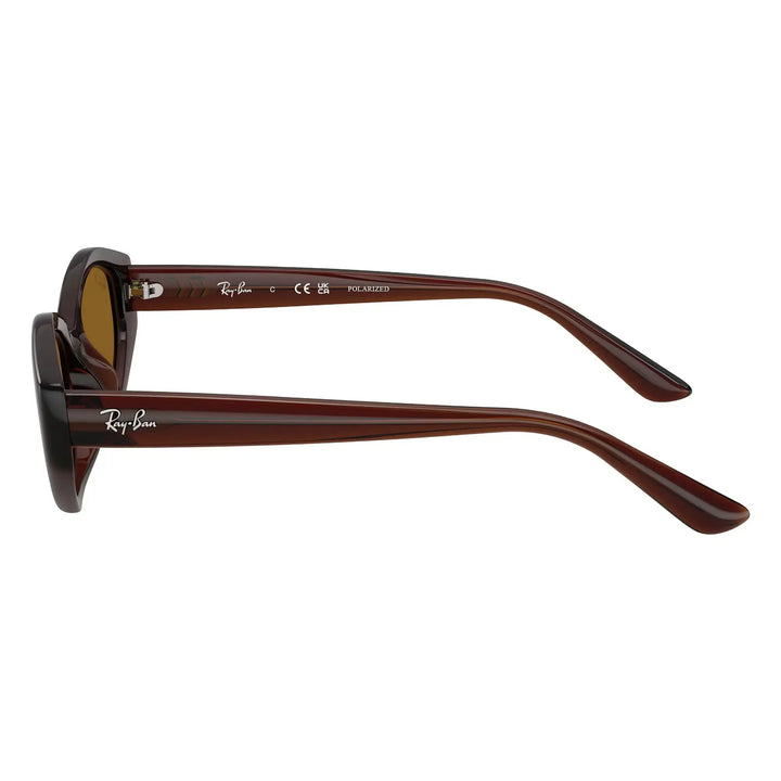 Ray-Ban 0RB4473D Polarised Sunglasses - Dark Brown / Dark Brown Polar