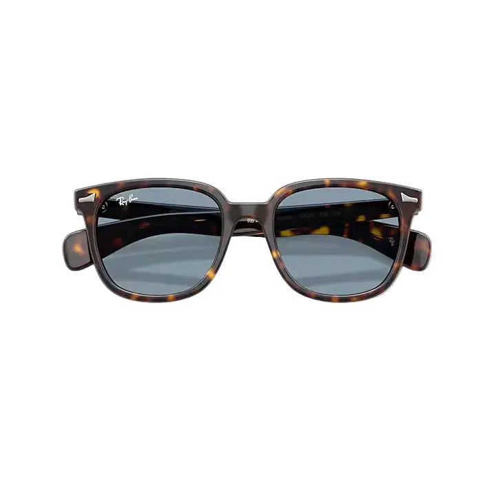 Ray-Ban Brunel II Sunglasses