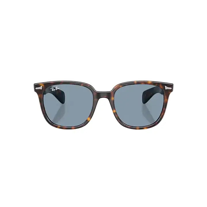 Ray-Ban Brunel II Sunglasses