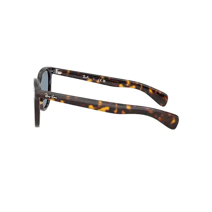 Ray-Ban Brunel II Sunglasses