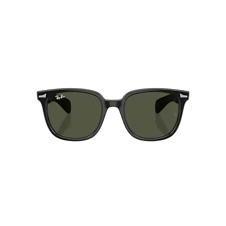Ray-Ban Brunel II Sunglasses