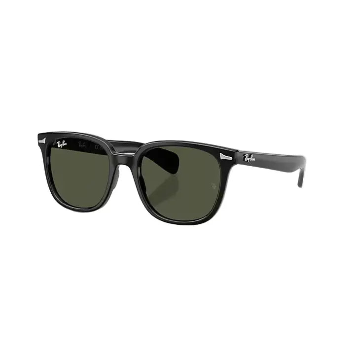 Ray-Ban Brunel II Sunglasses - Black / Green
