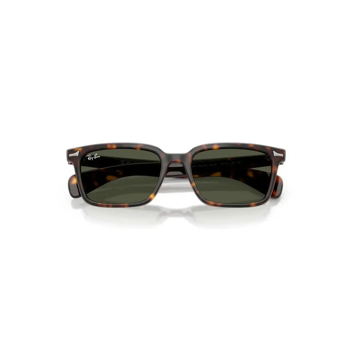 Ray-Ban Brunel Sunglasses