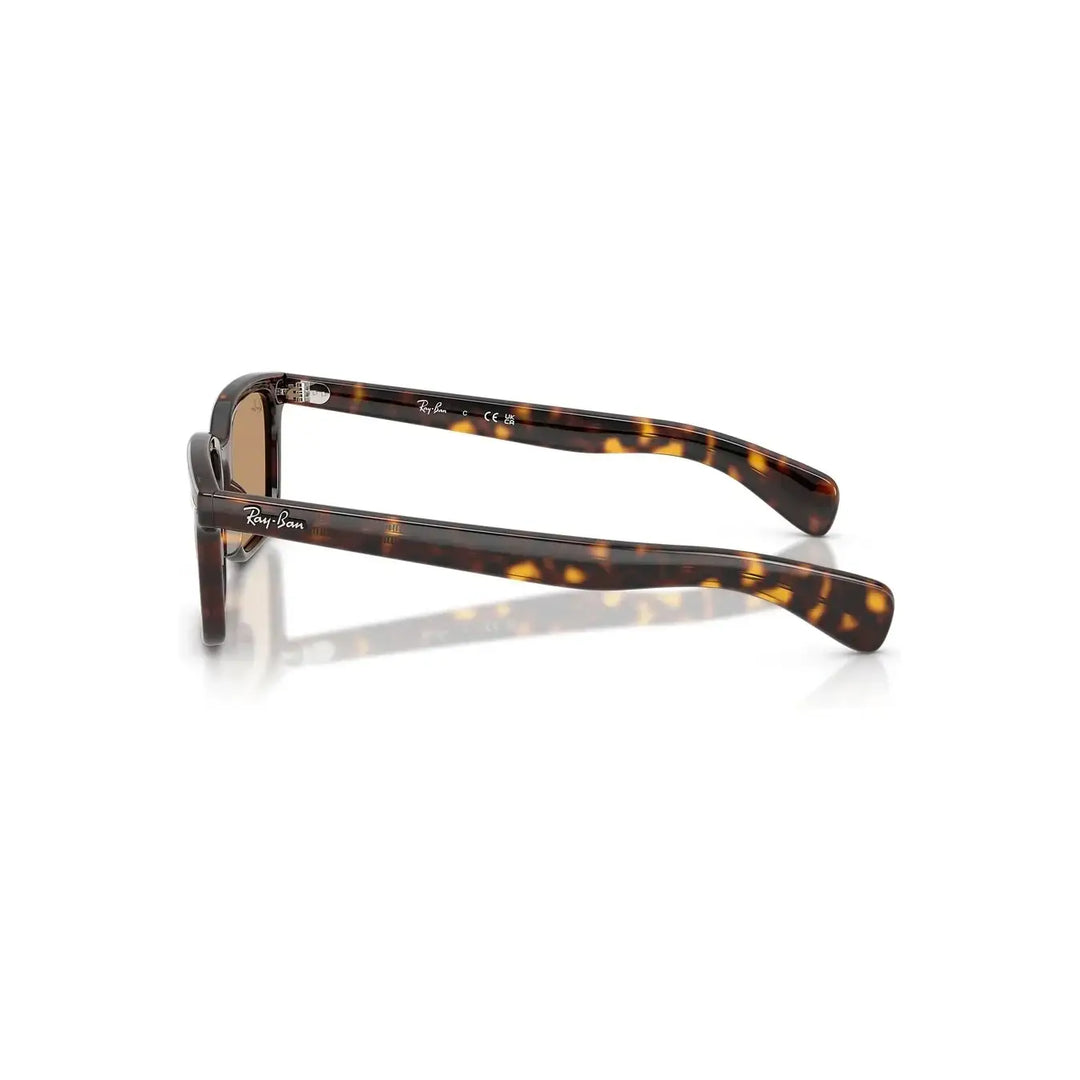 Ray-Ban Brunel Sunglasses
