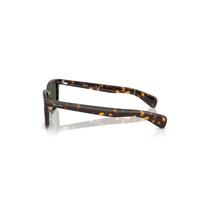 Ray-Ban Brunel Sunglasses