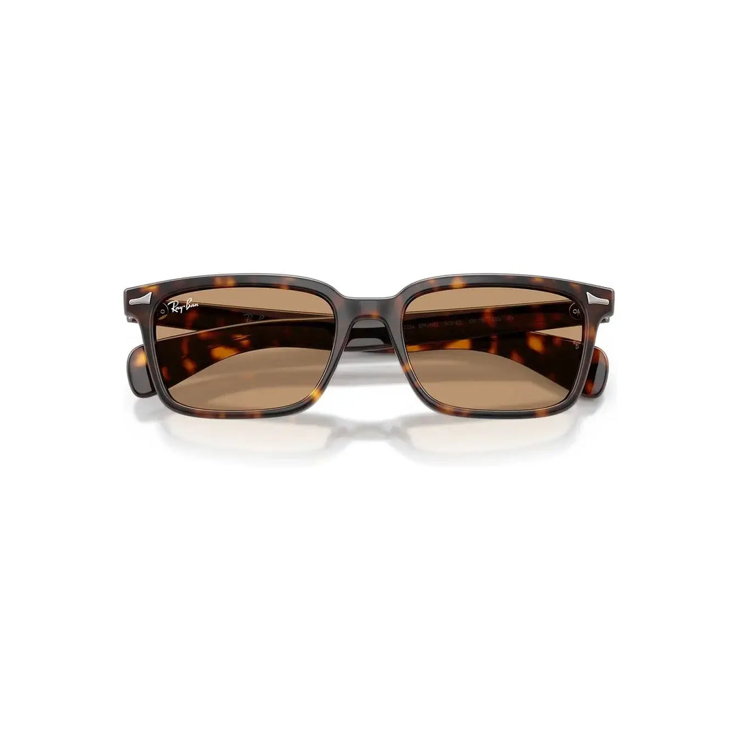 Ray-Ban Brunel Sunglasses