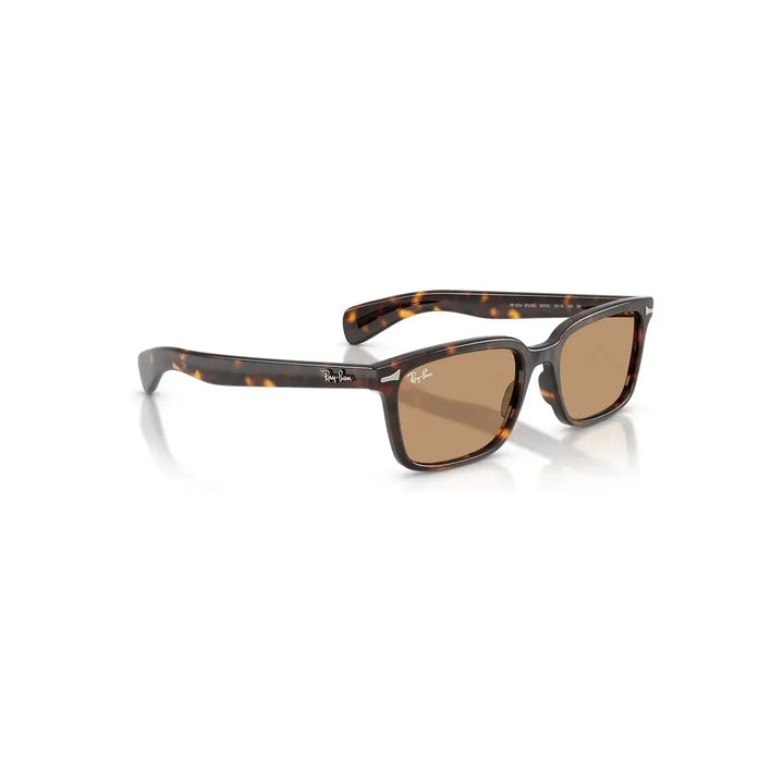 Ray-Ban Brunel Sunglasses