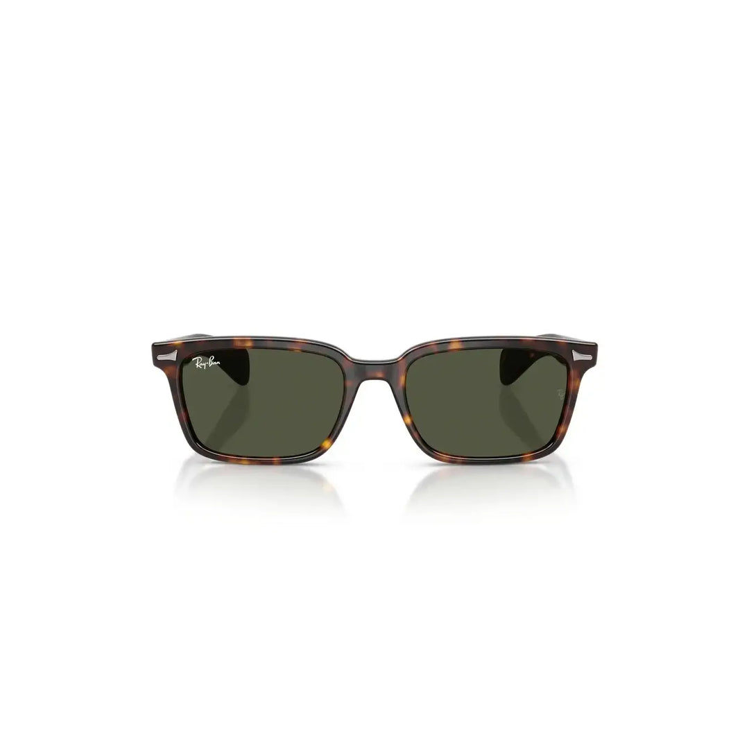 Ray-Ban Brunel Sunglasses