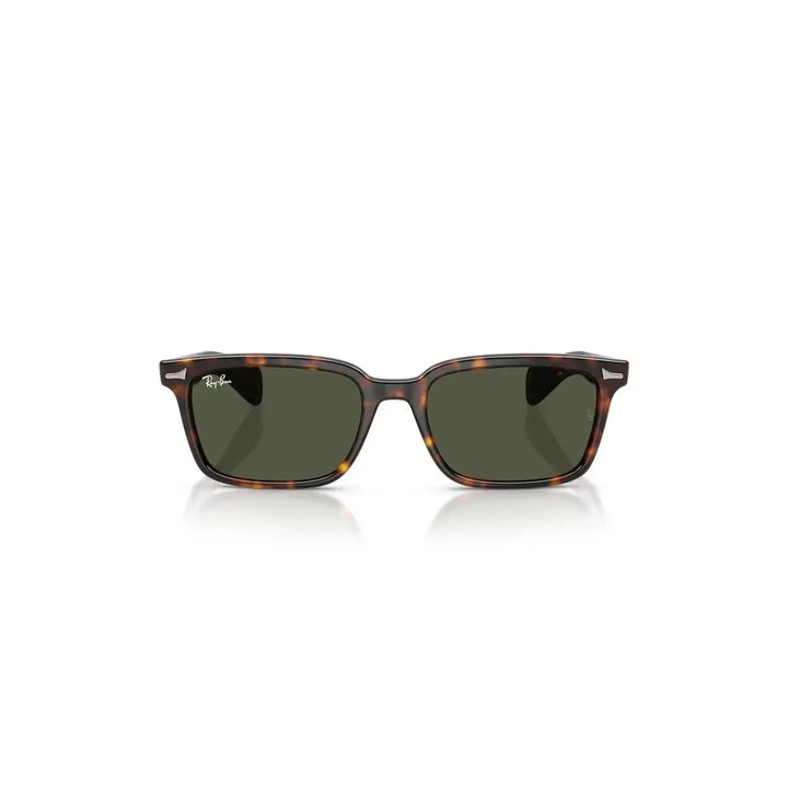 Ray-Ban Brunel Sunglasses
