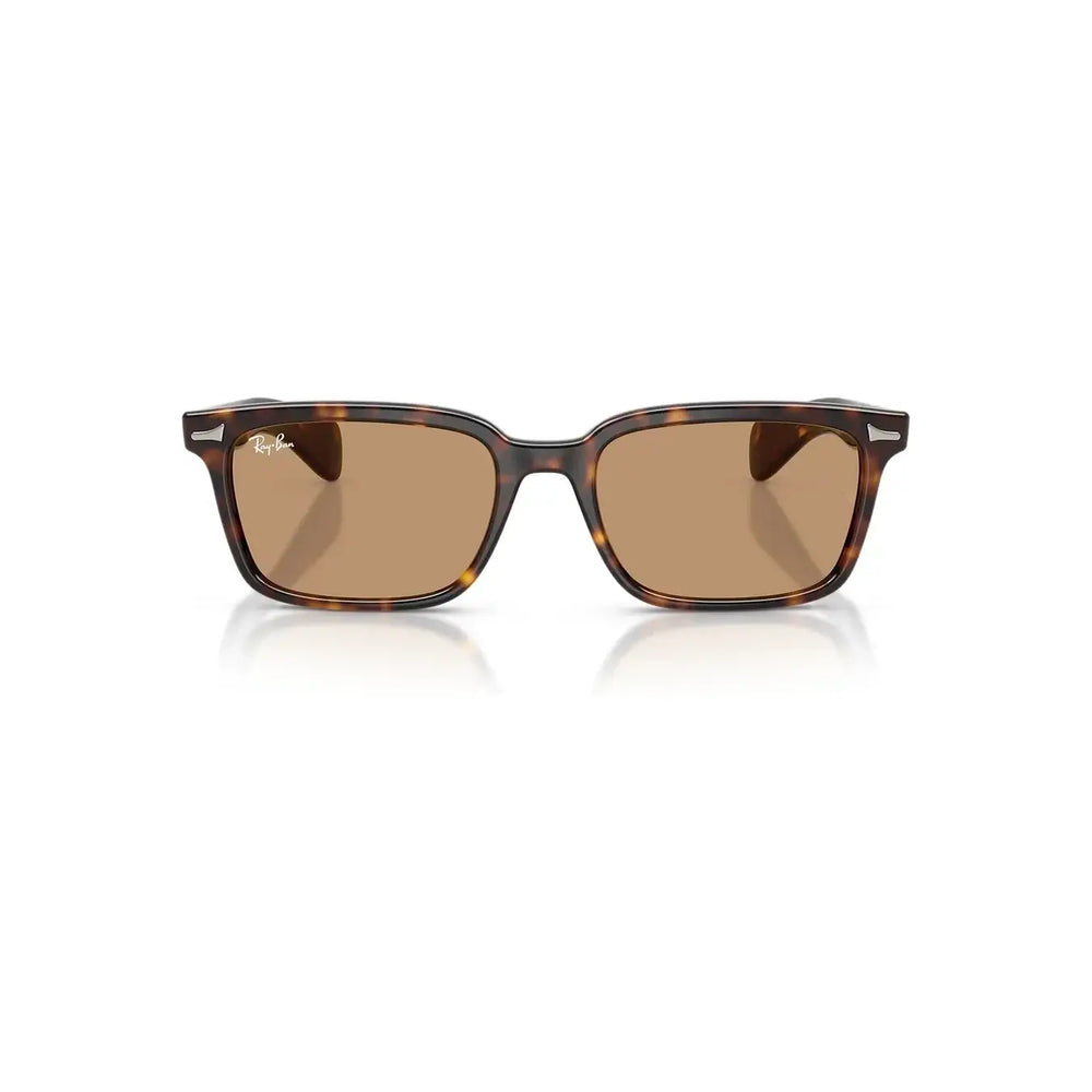 Ray-Ban Brunel Sunglasses
