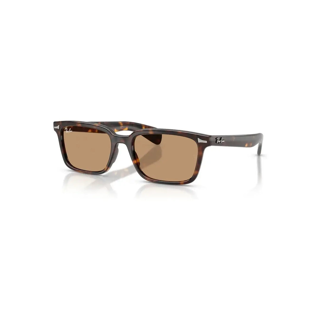 Ray-Ban Brunel Sunglasses - Havana / Brown