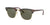 Ray-Ban Clubmaster Sunglasses Red Havana / G-15 Green - Large 