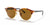 Ray-Ban Clubround Classic Polarised Sunglasses Spotted Brown Havana / B15 Brown 