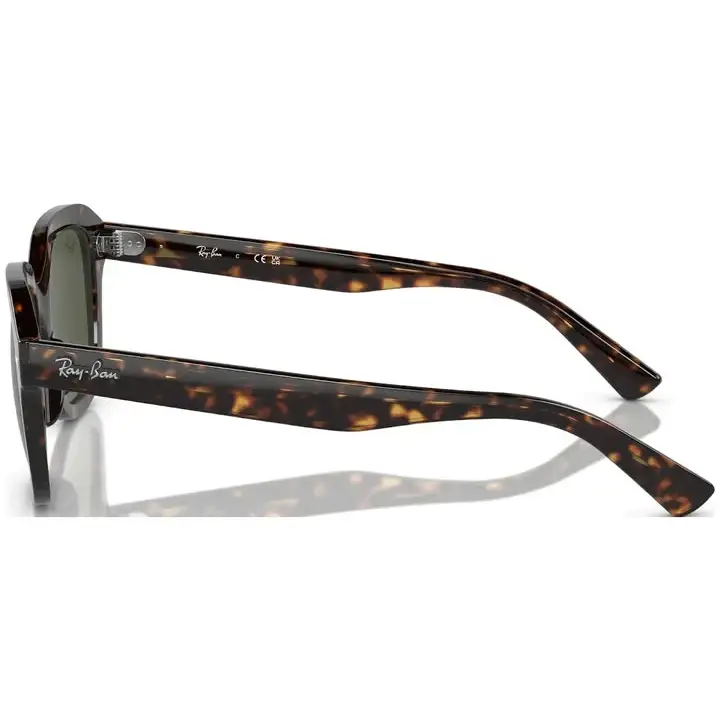 Ray-Ban Erik Sunglasses 