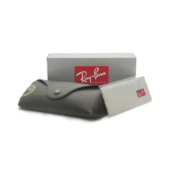 Ray-Ban Erik Sunglasses 