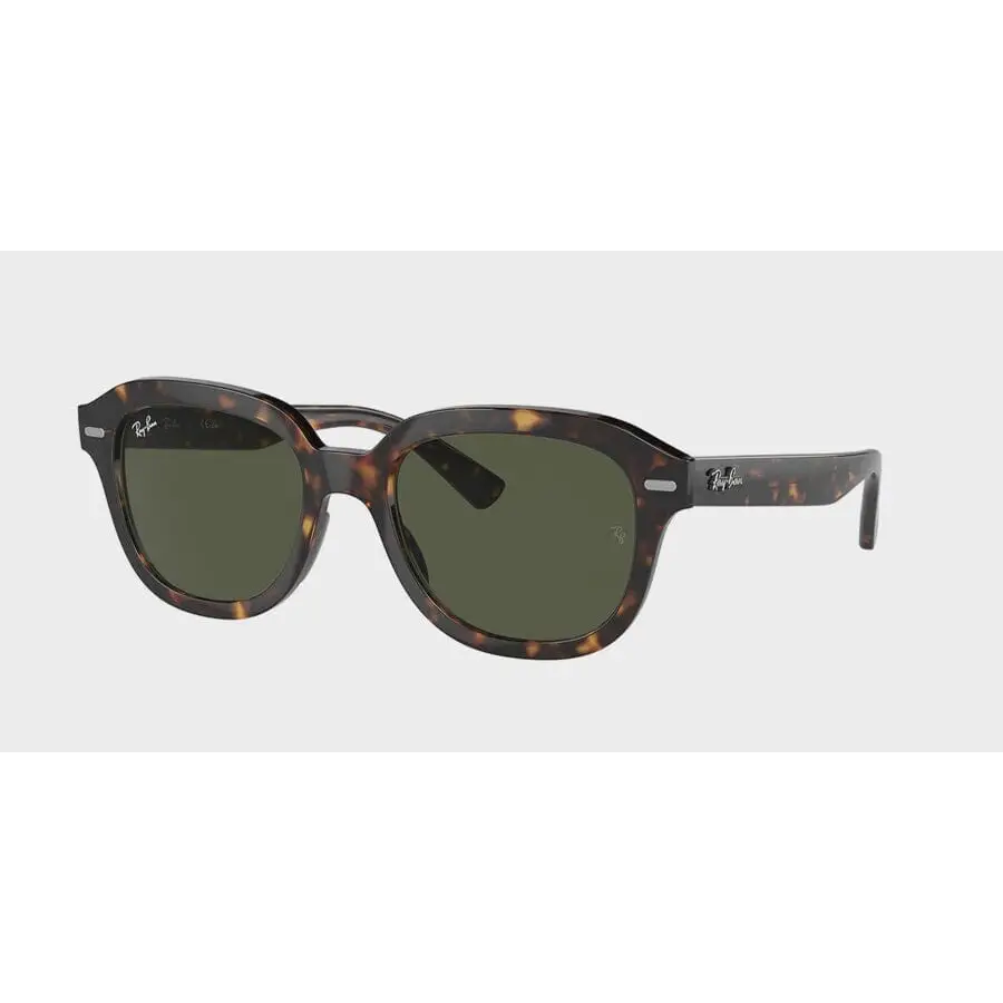 Ray-Ban Erik Sunglasses 