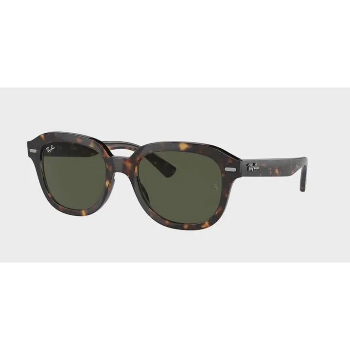 Ray-Ban Erik Sunglasses 