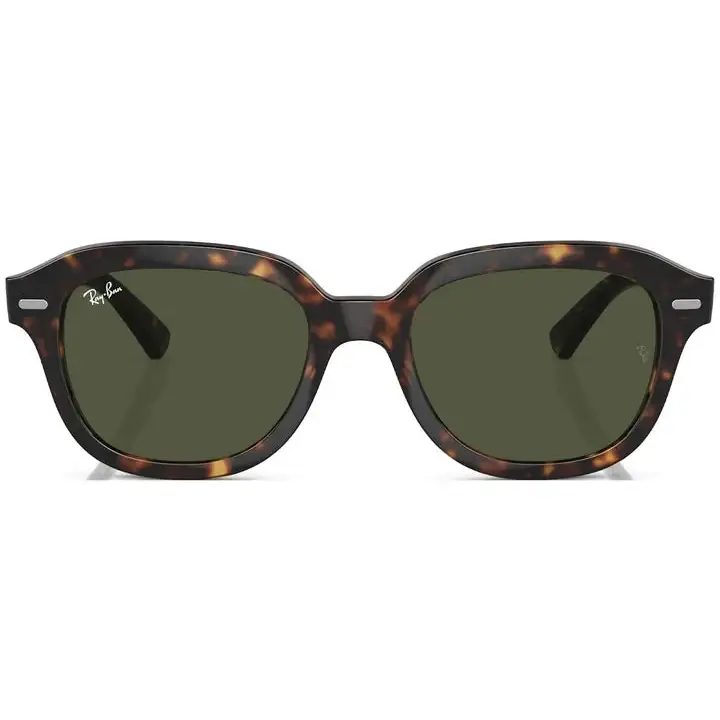 Ray-Ban Erik Sunglasses 