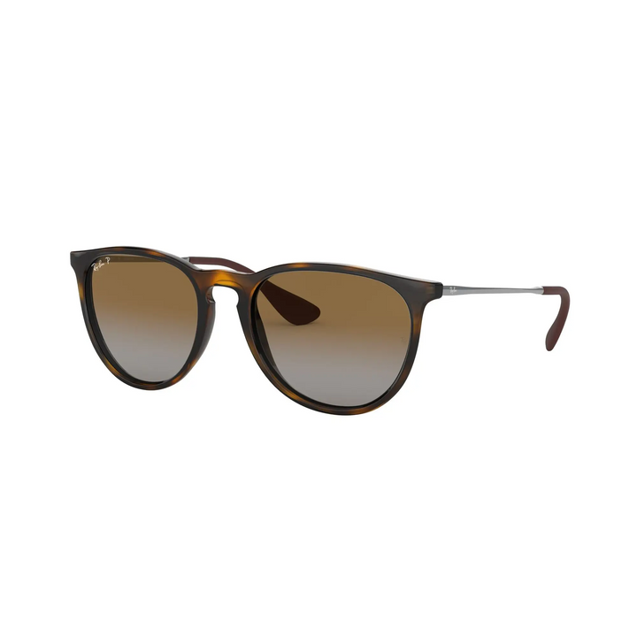 Ray-Ban Erika Polarised Sunglasses 