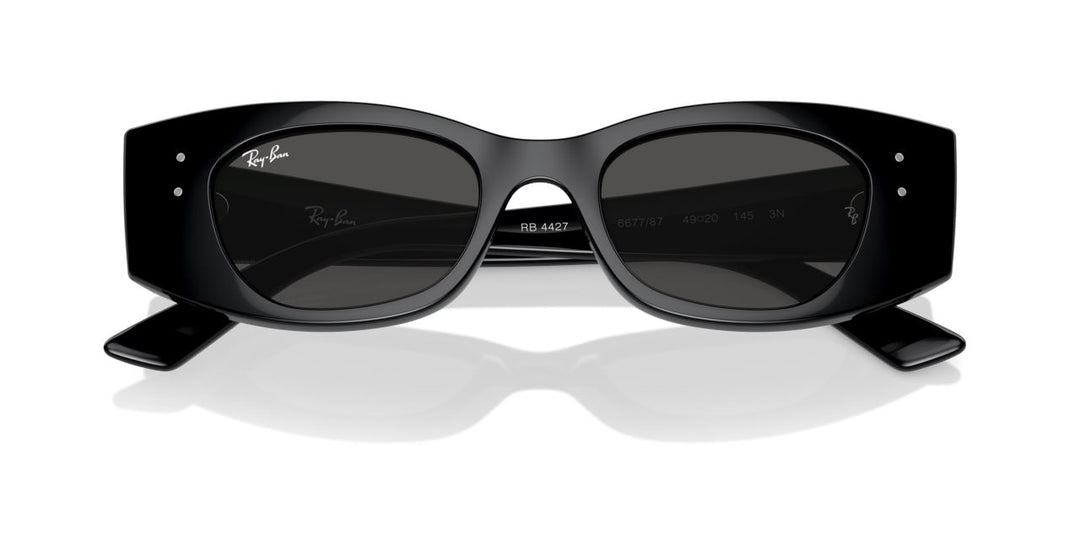 Ray-Ban Kat Sunglasses 