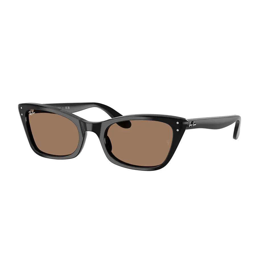 Ray-Ban Lady Burbank Sunglasses - Black / Brown