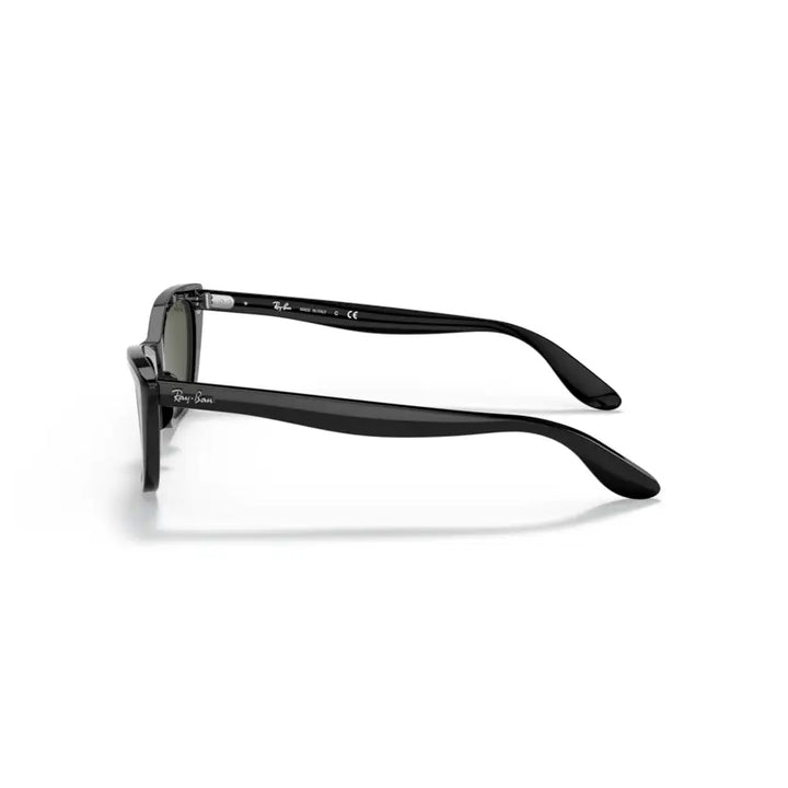 Ray-Ban Lady Burbank Sunglasses - Black / Green