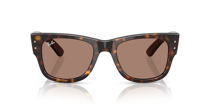 Ray-Ban Mega Wayfarer Sunglasses 