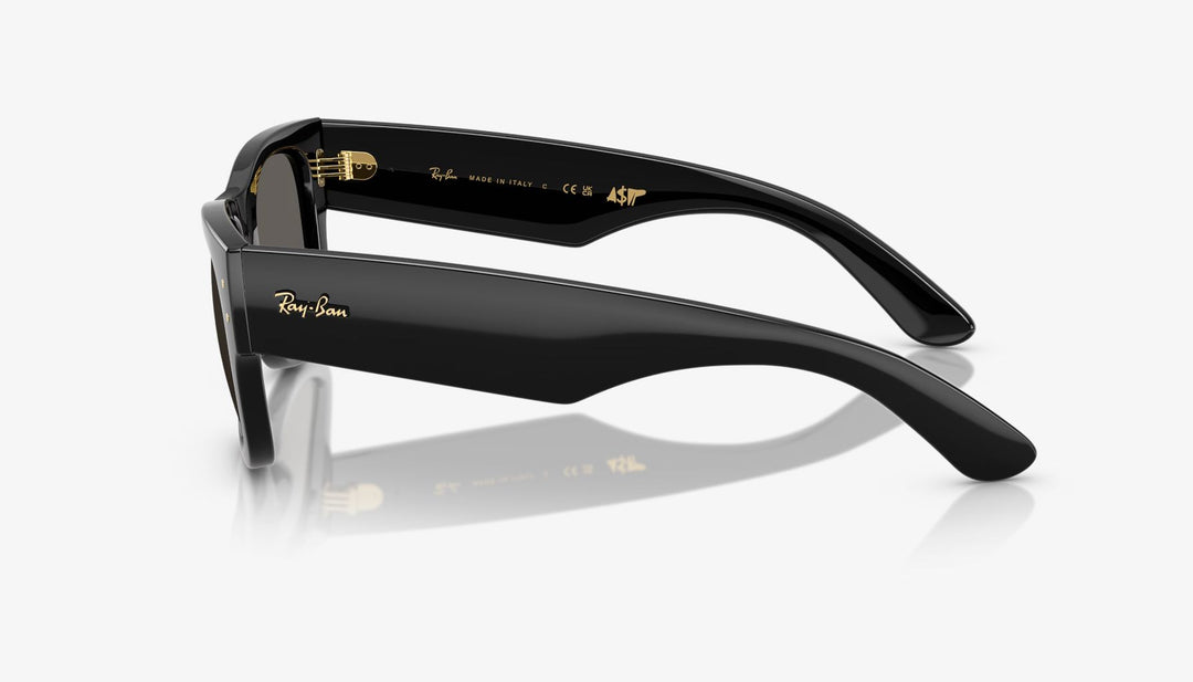 Ray-Ban Mega Wayfarer Sunglasses 