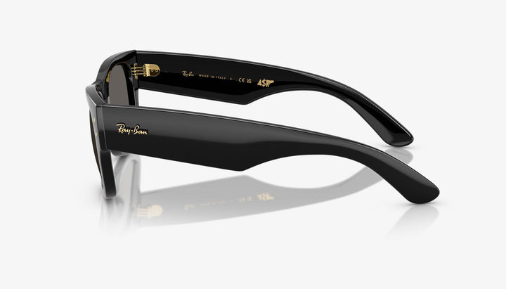 Ray-Ban Mega Wayfarer Sunglasses 