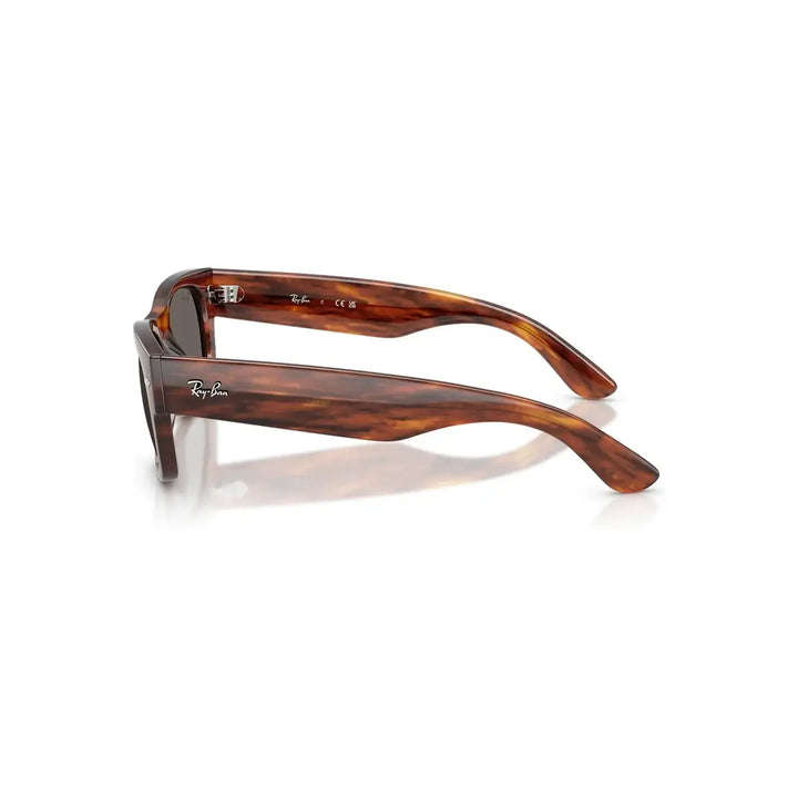 Ray-Ban Mega Wayfarer Sunglasses